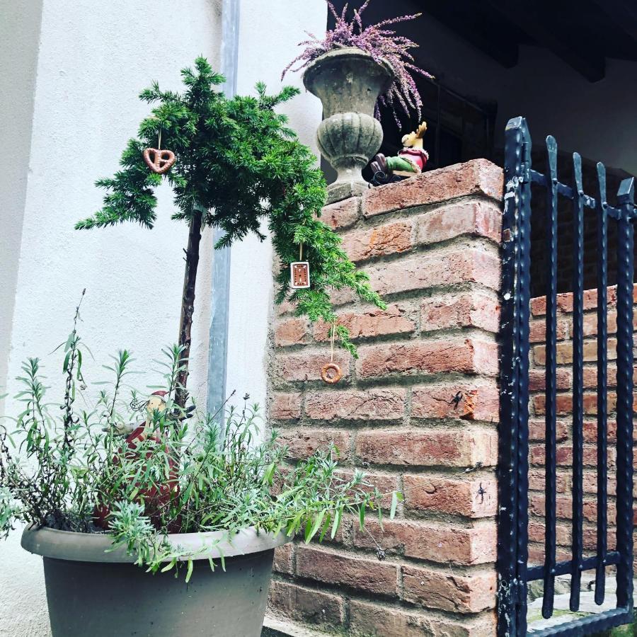 Apartmany Kovacska Košice Exterior foto